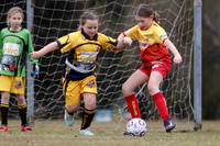 Greta Branxton 09G/01 v Gresford Vacy 09G/01