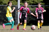 Edgeworth JSC 10G/01 v Belmont Swansea United 10G/01