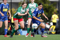 GF - Adamstown Rosebud v Newcastle Olympic