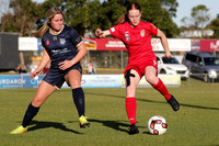 Broadmeadow Magic v New Lambton