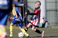 B-003