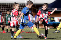 8s - Metford Mad Dogs v Abermain Rams 1