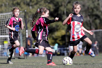 8s - Abermain Rams 2 v Pink Lightning