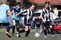 10/11s - Nutmeg Ninjas v Weston Bears