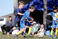 7s - Tiger Sharks v Metford Cobras
