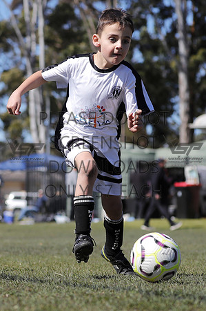 L-017