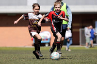 10/11s - Edgy Mite v Bolwarra Rangers (10s)