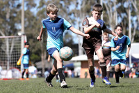10/11s - Nutmeg Ninjas v Bolwarra Rangers (11s)