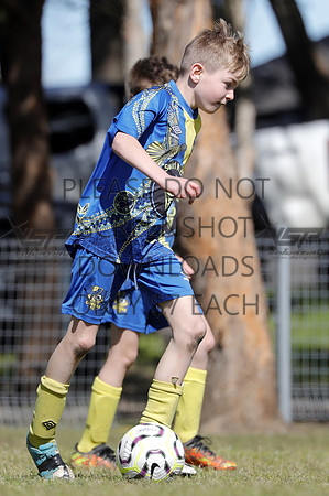 Y-043