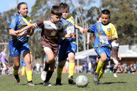 10/11s - Striking Cobras v Bolwarra Rangers (11s)