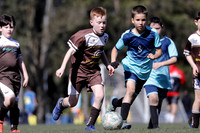 10/11s - Nutmeg Ninjas v Bolwarra Rangers (10s)