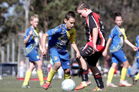 10/11s - Striking Cobras v Bolwarra Rangers (11s)