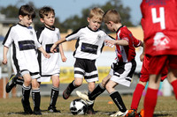 Maitland Junior FC - Sep2025