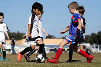 Maitland JFC 07/08 v Tenambit Sharks 07/03