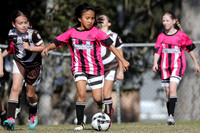 Maitland JFC 09G/02 v Bolwarra Lorn 09G/01