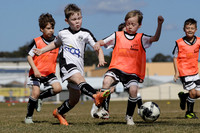 Maitland JFC 07/03 v Maitland JFC 07/04