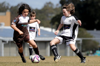 Maitland JFC 11/04 v Bolwarra Lorn 11/02