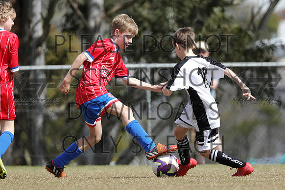 K-035