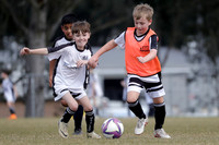 Maitland JFC 10/04 v Maitland JFC 10/05