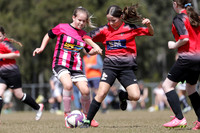 Maitland JFC 11G/01 v Thornton JFC 11G/01