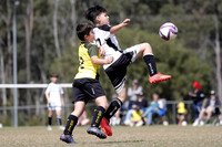 Maitland JFC 11/01 v Medowie FC 11/01
