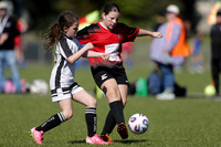 Maitland JFC 12G/02 v Thornton JFC 12G/01