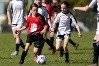 2025 Semi Finals