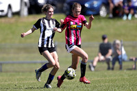 Maitland JFC 17G/01 v Cooks Hill United 17G/01