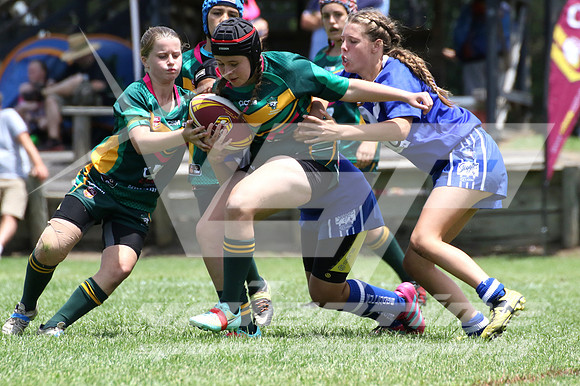 F-024
