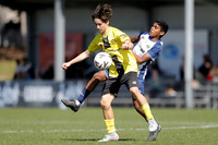 SF -  Lake Macquarie City v Lambton Jaffas
