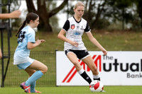 Maitland FC v Mid Coast FC