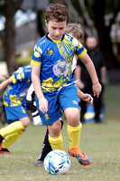 MiniRoos 9s - Metford Cobras v Maitland JFC