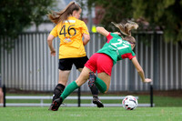 F-005