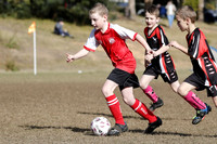 MiniRoos 9s - South Cardiff v Edgeworth JSC