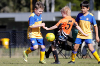 Toronto Awaba  JFC 09/01 v Southern Lakes 09/01