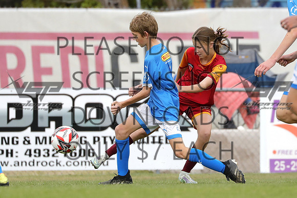 C-153