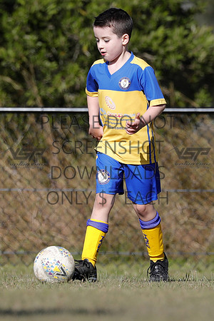 G-031