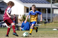 Miniroos U11-Toronto Awaba  JFC 11/02 v Warners Bay 11/02