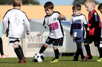 Y-007
