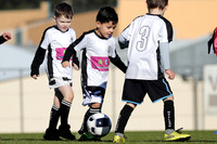 Y-004