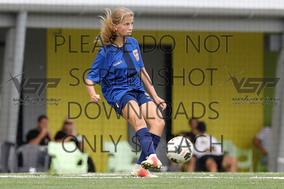 C-081