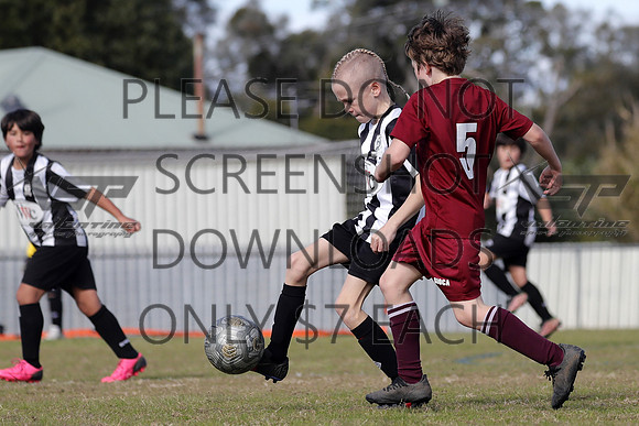 P-076