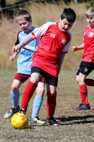 Mini Roos 9s - South Cardiff v Charlestown