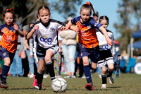 6/7s & Girls - Maitland Girls v Battle Queens