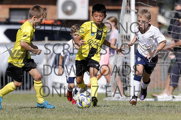 C-005