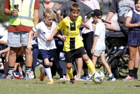 Lambton Jaffas Yellow v New Lambton Gold