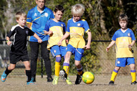 Miniroos U7-Toronto Awaba  JFC 07/03 v Dudley Redhead 07/03