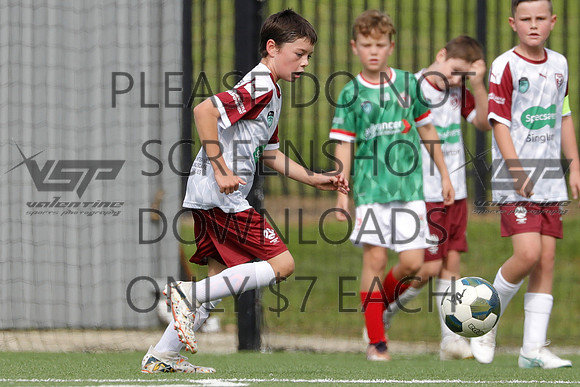 D-061