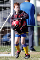 Miniroos U11-Toronto Awaba  JFC 11/01 v Swansea FC 11/01