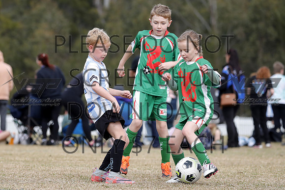 E-096